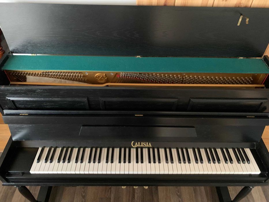 Pianino Calisia!!!