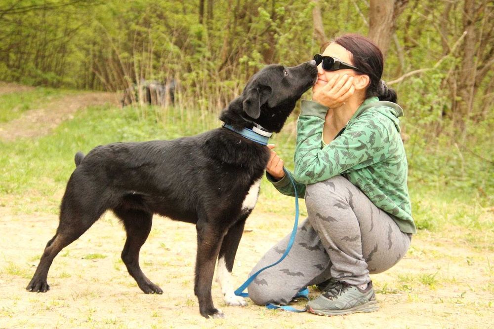 JOGIN - przyjazny, łągodny, wesoły. [FILMIKI]