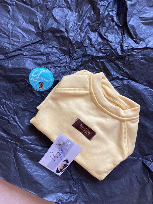 Футболка для песика одяг для собаки кота сфінкса