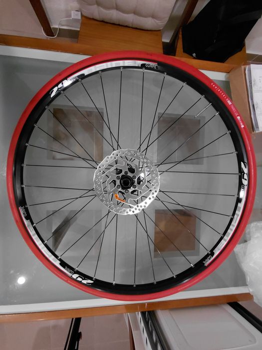 Roda traseira com pneu de rolo e disco de travão