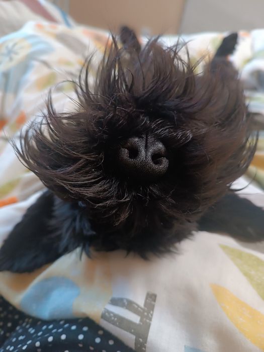 Платим за любофф