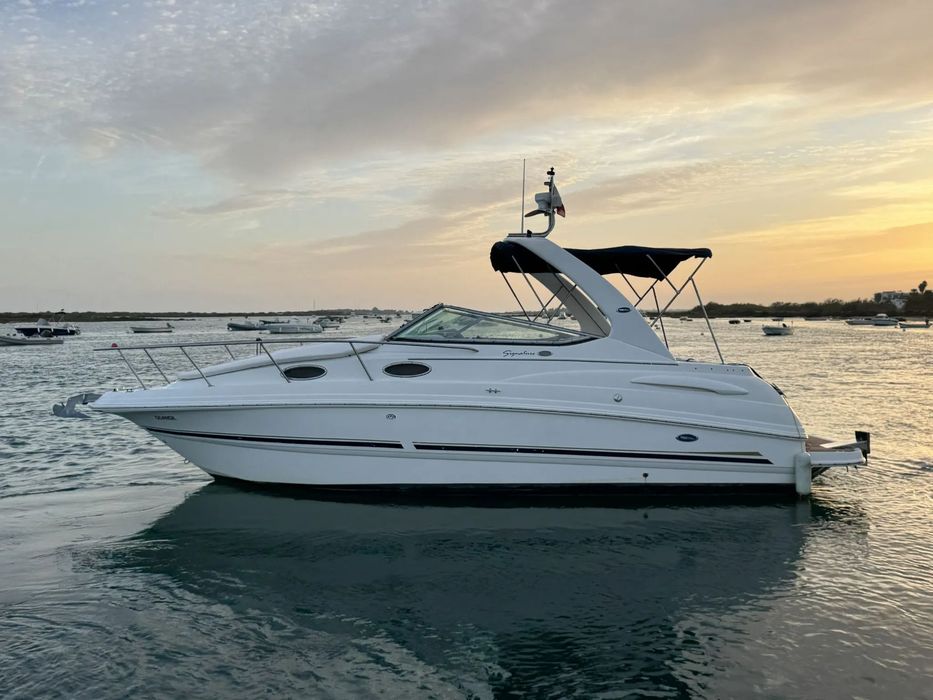 Chaparral 260 Signature