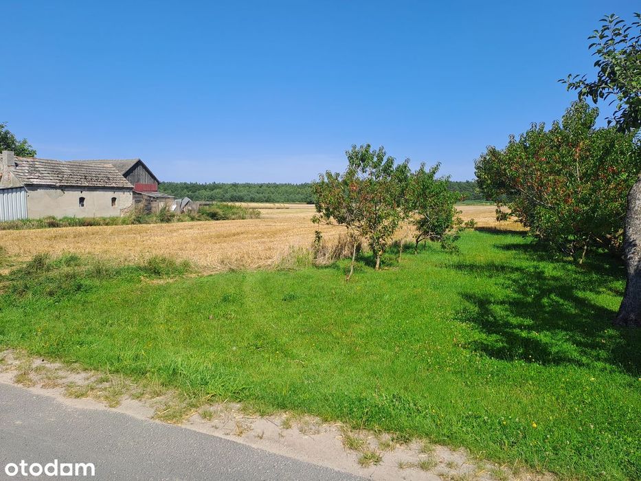 Działka budowlana w zabudowie zagrodowej 3000 m² - Widok 2