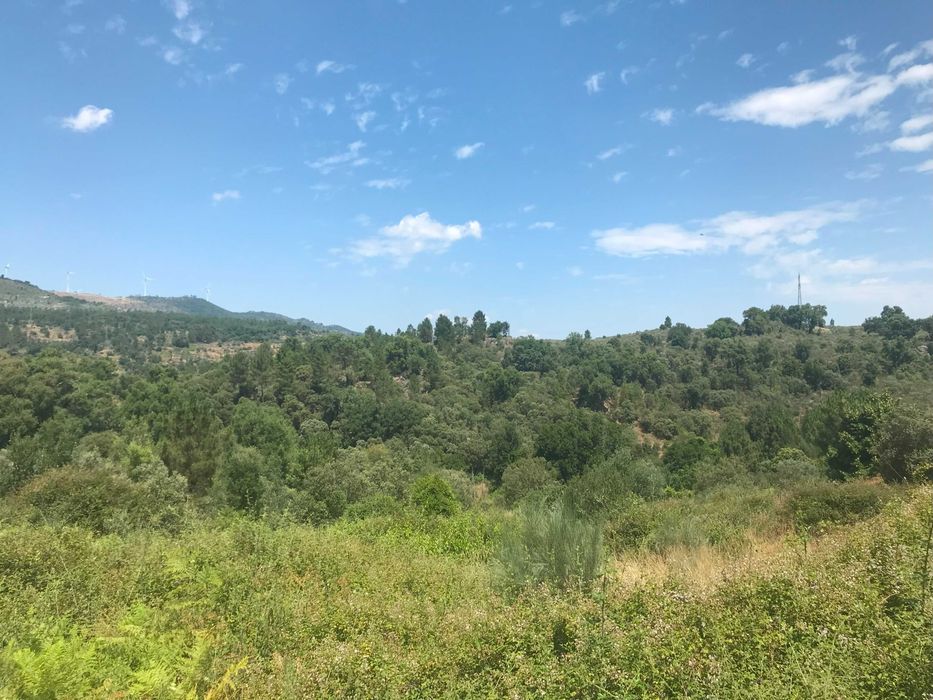 Conjunto de Terrenos Rústicos e Urbanos para Venda