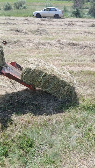Продам  сіно в тюках