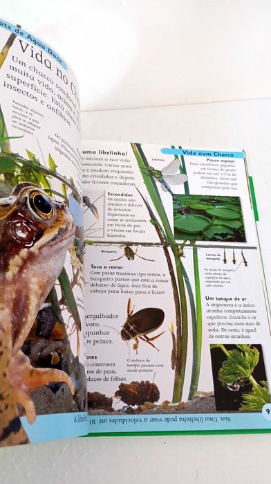 Primeira Enciclopedia da Natureza