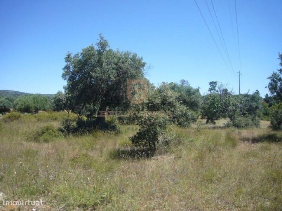 Oportunidade - Terreno ideal para produção agrícola ou turismo rura...