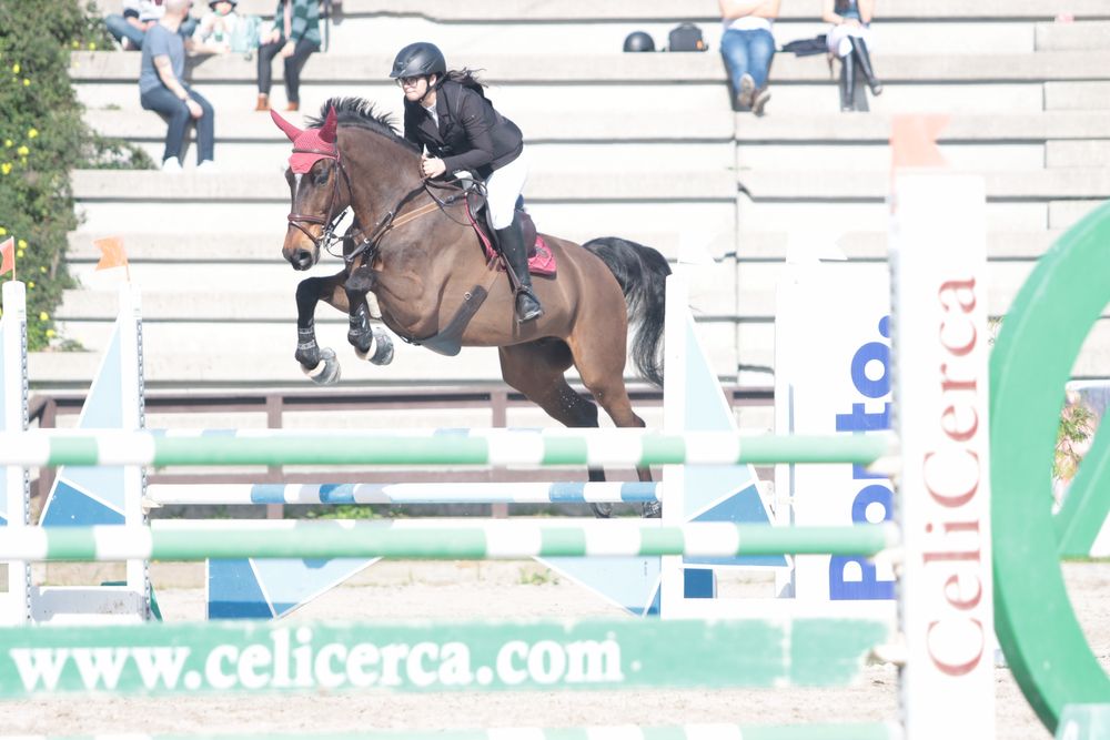 Cavalo de obstáculos