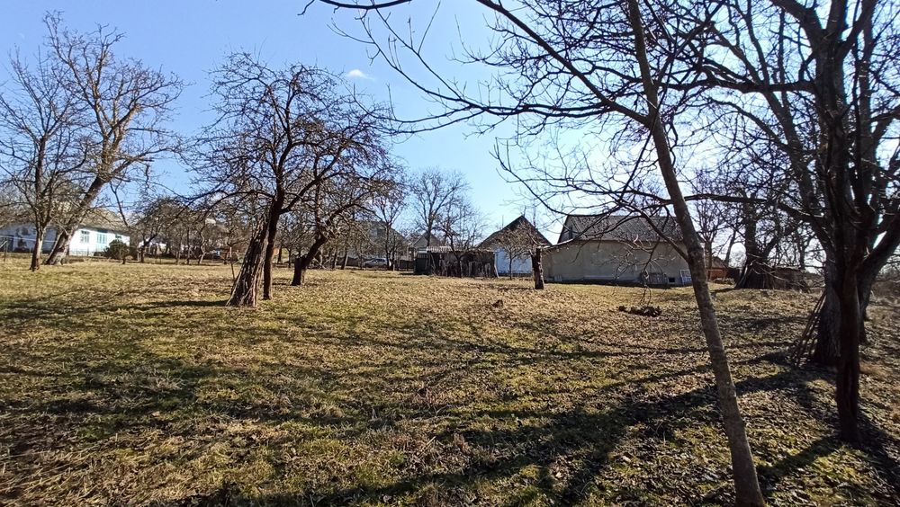 Будинок, земля 43 сотки