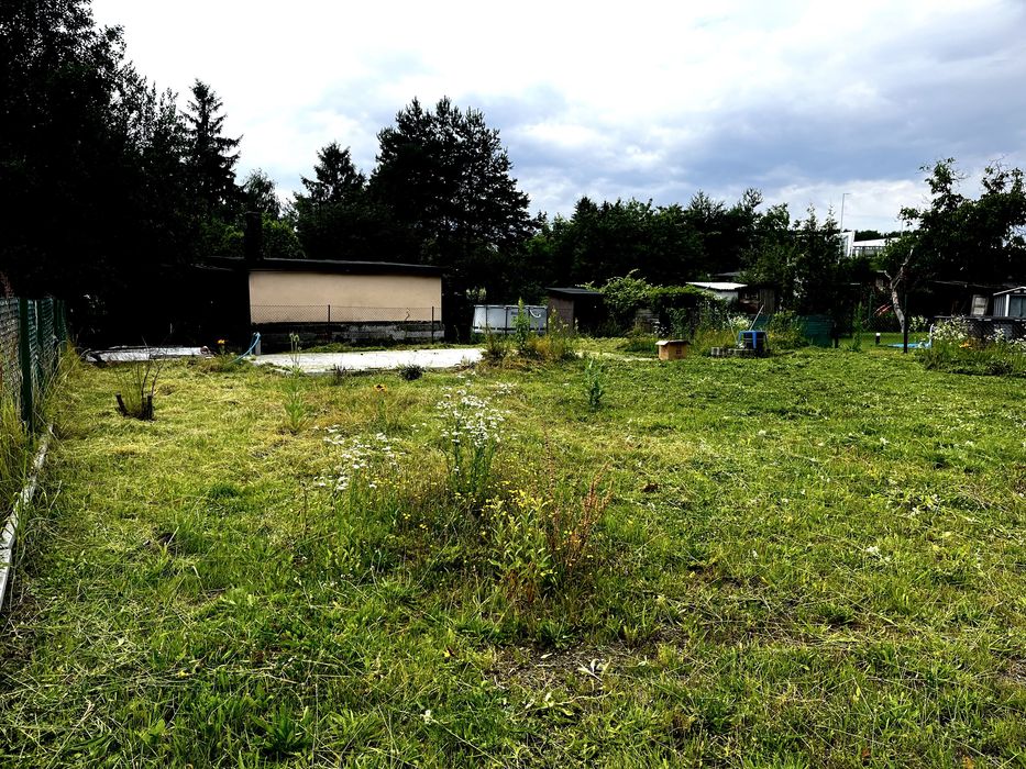 Ogrodek dzialkowy  w centrum Katowic ul. Bocheńskiego.