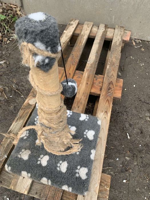 Когтеточка для кота