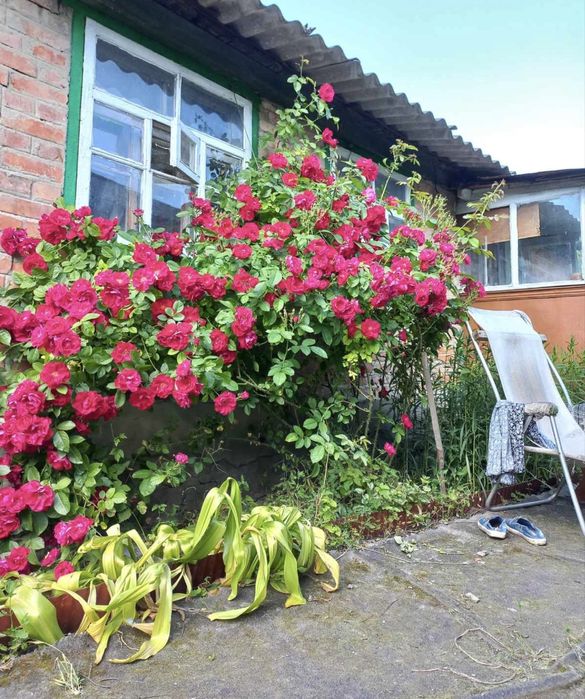 Дом дача Балаклея