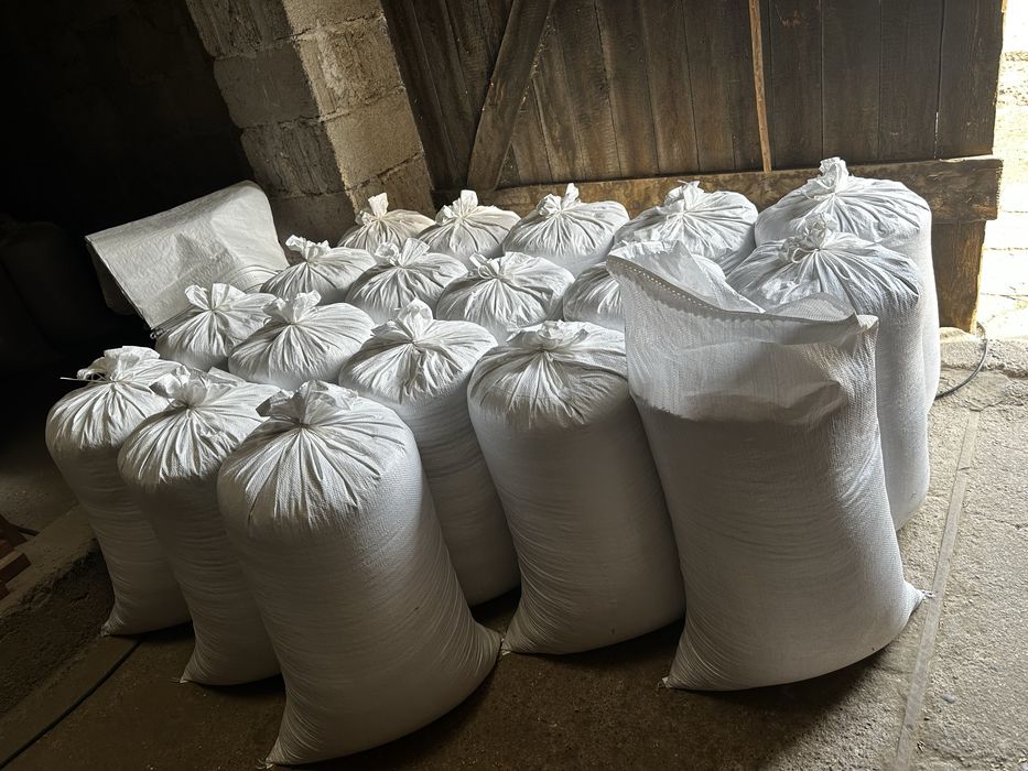 Sprzedam owies czyszczony