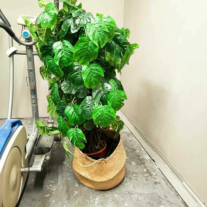 Planta artificial