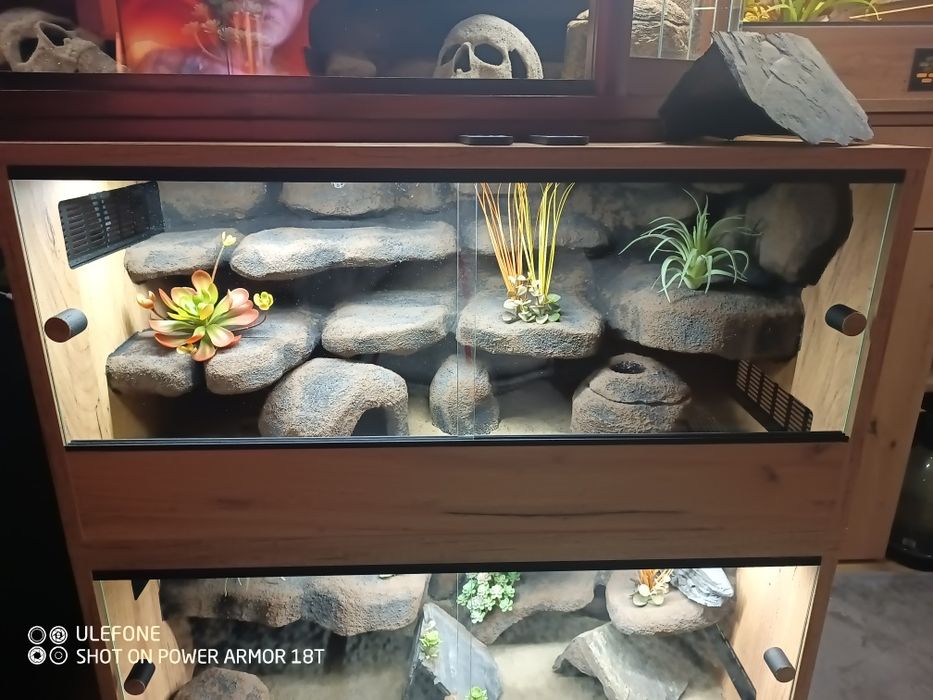 Terrarium 80x40x40