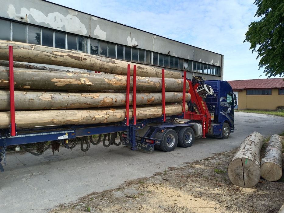 Drewno Tartaczne sosna jodła swierk