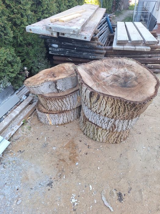 Krążki drewniane orzech