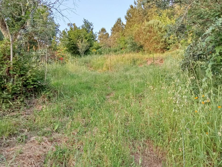 Quinta isolada mas a 2 km de Seia
