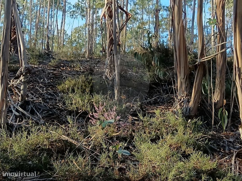 Terreno  para venda