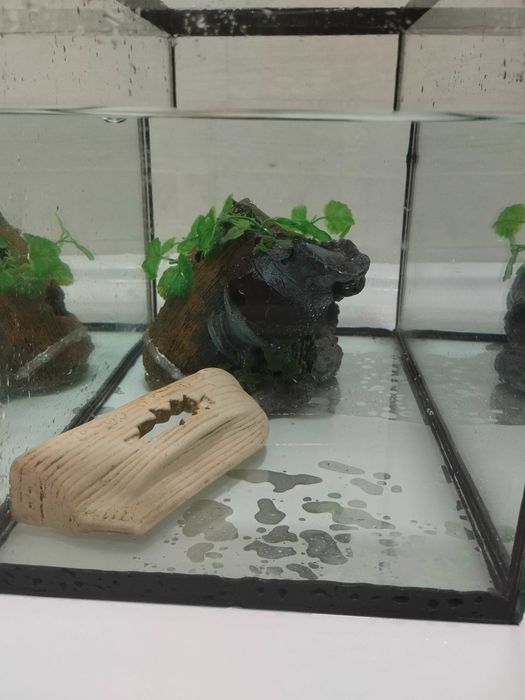 Aquário osiris para desocupar