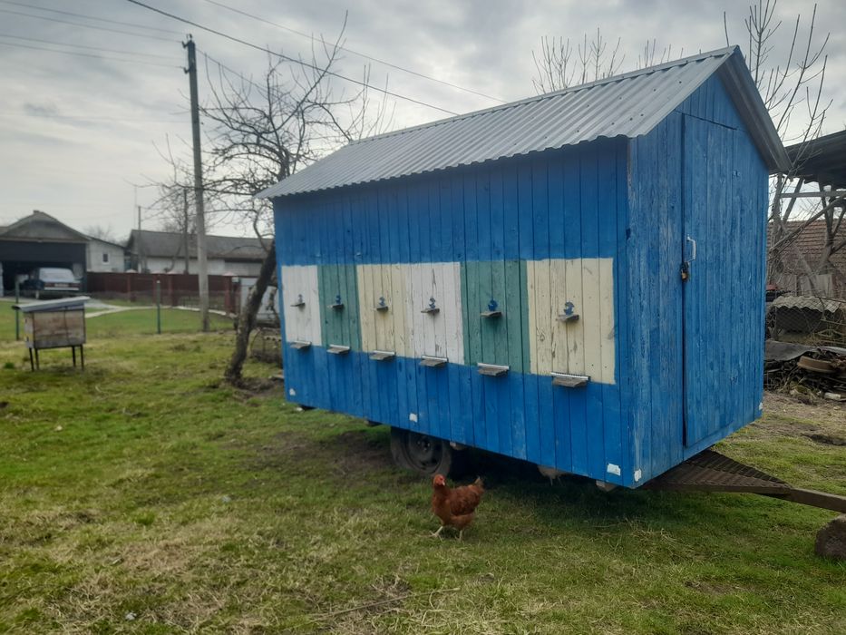 Продається  павільйон для бджіл.