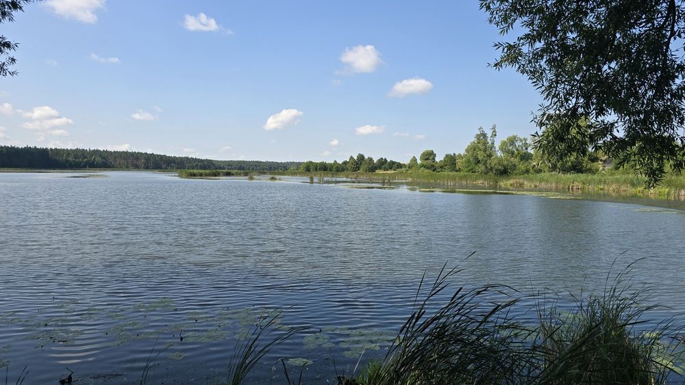 Продаж ділянки 63сот. з видом на озеро та замок Радомисль (Радомишль)