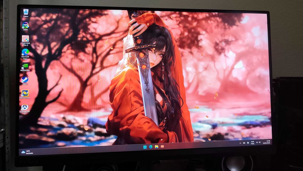 Monitor 280hz - Philips IPS 24.5"