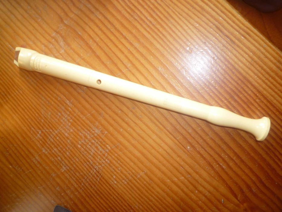 Flauta de Bisel da Hohner adequado para aprendizagem escolar64284995370499121