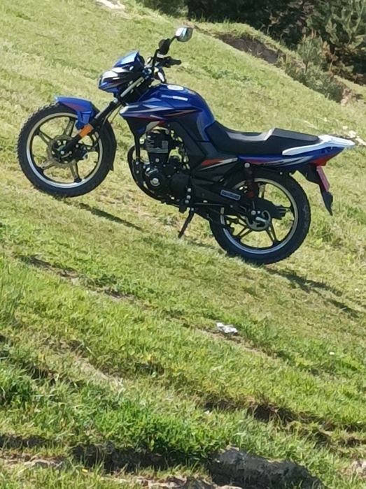 Mustang Fortuna 200