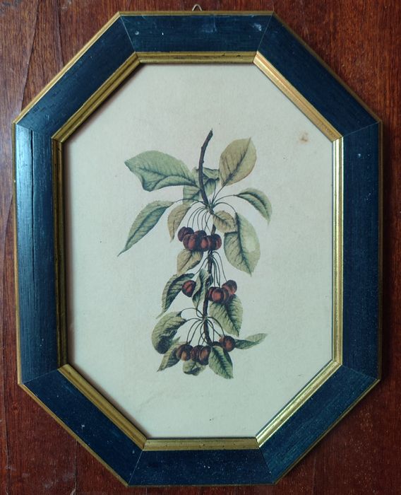 Conjunto de 4 quadros pequenos com frutas