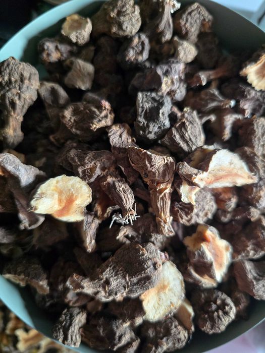 Dla gryzoni Topinambur suszone bulwy  1kg