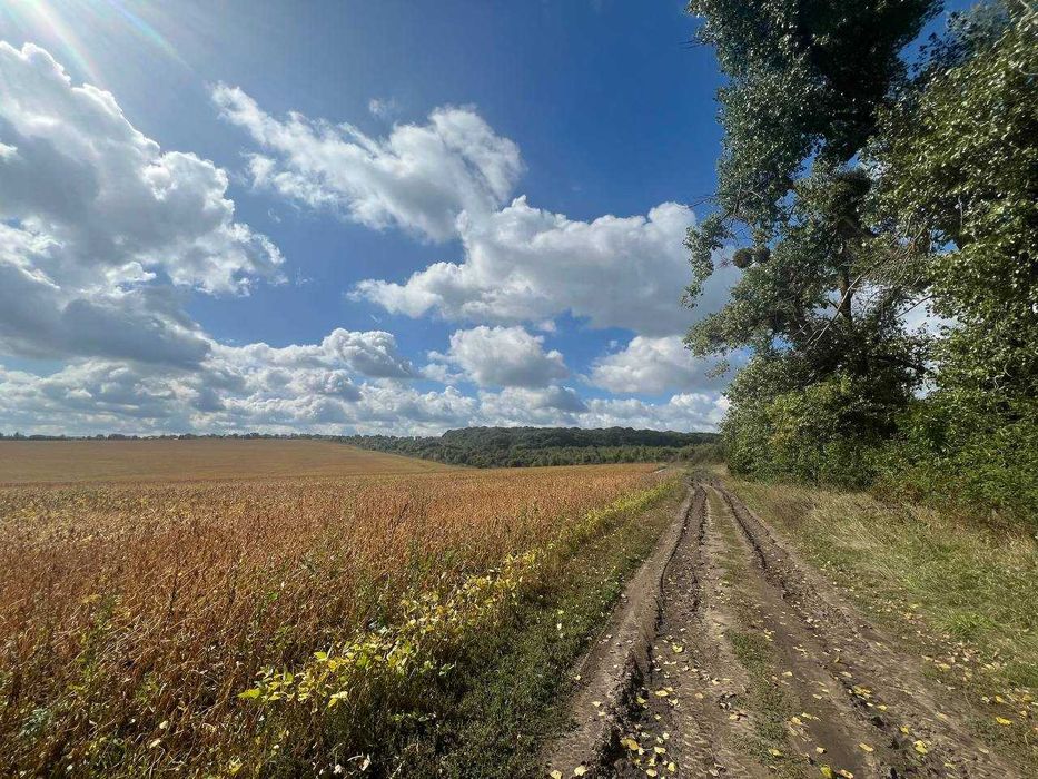 Фото ділянки