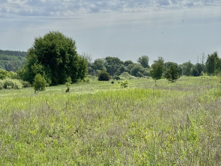 Продам 82сотки землі !!!  с.Мироцьке