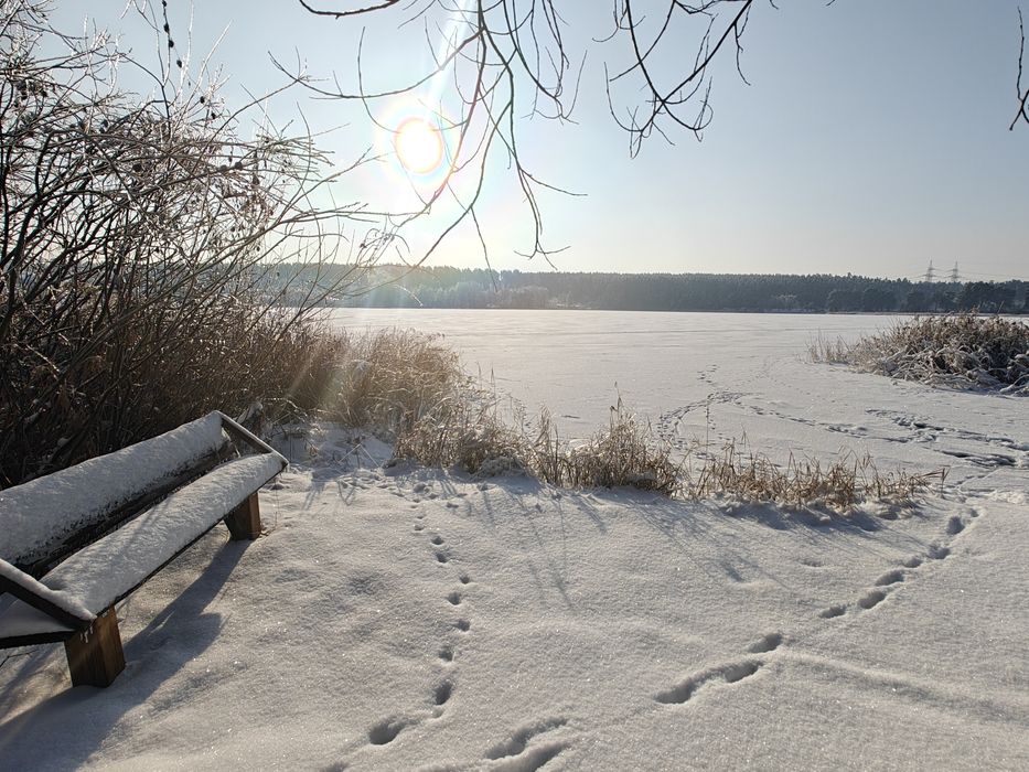 Оренда будинку біля Києва подобово Бучанський район Озеро Ліс
