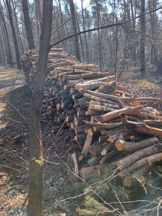 Sprzedam drewno opałowe