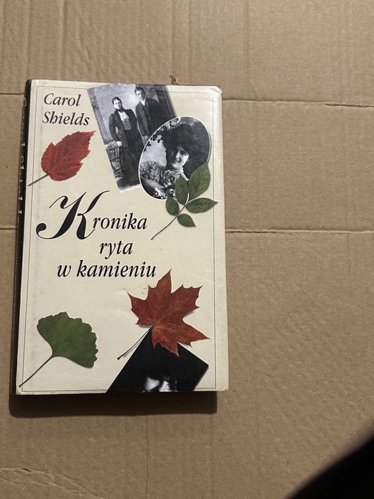 kronika ryta w kamieniu -  carol sbields