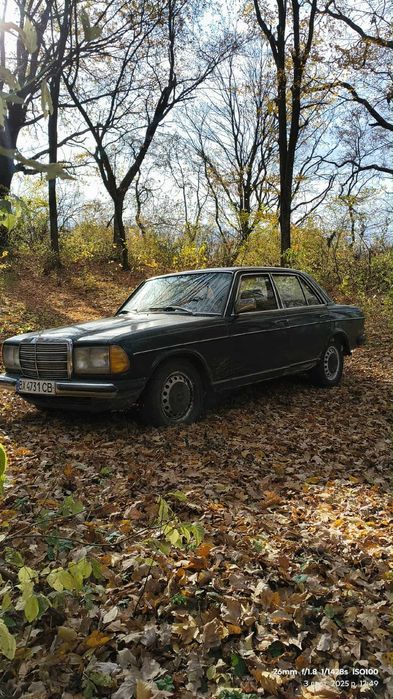 Mersedes W123 rest