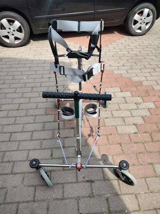 Pionizator Walker