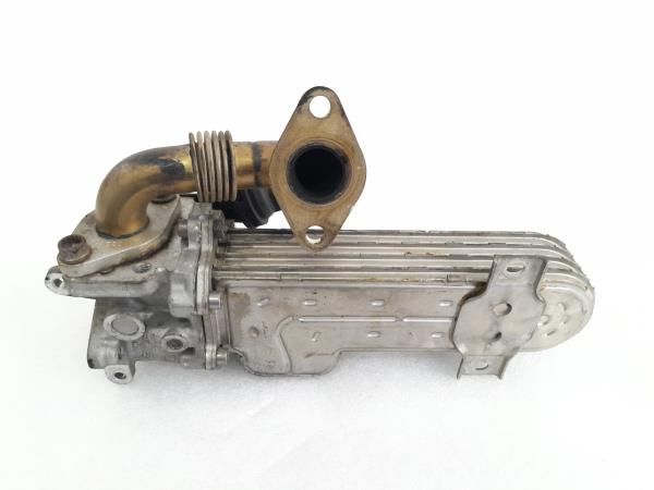 Radiador de gases / EGR SEAT Leon (1P1)