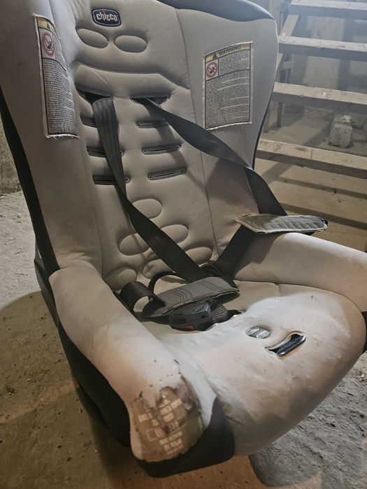 Стульчик Chico .