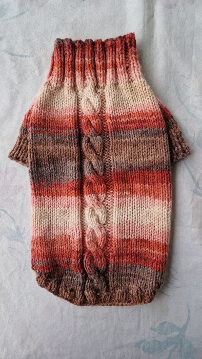 Одежда для собак.