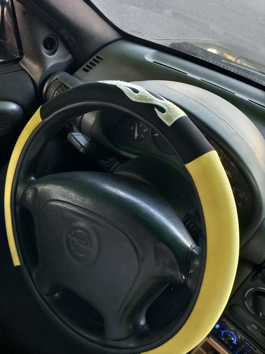Conjunto Capas para carro 40€