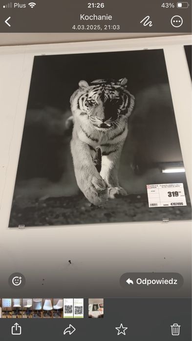 Obraz  szklany   …………