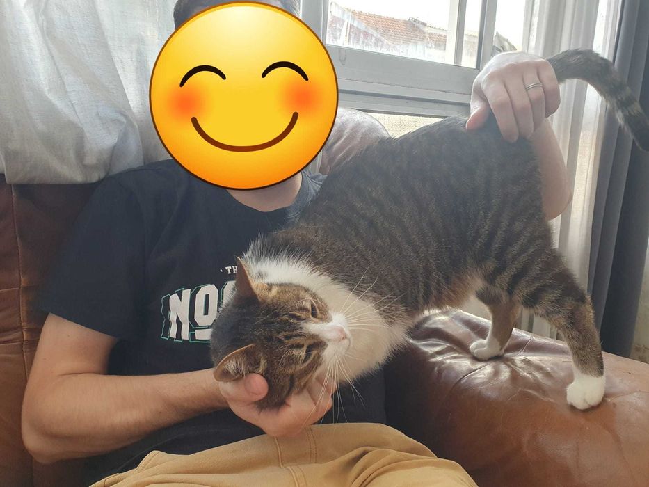 O Tejo Procura uma Nova Família