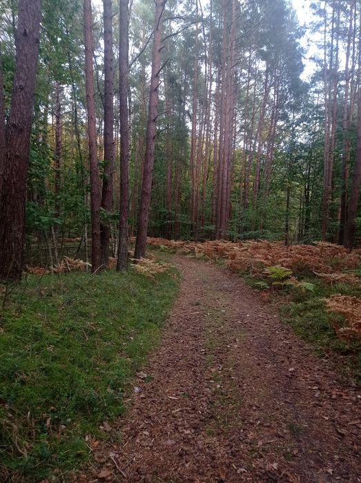 Apartament  nocleg nad Morzem Marysieńka Kąty Rybackie