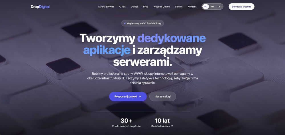 Tworzenie stron internetowych i sklepów online dla firm