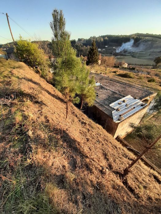 Limpezas florestais/terrenos