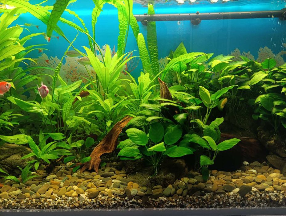 Акваріумний  повний комплект на 240л.