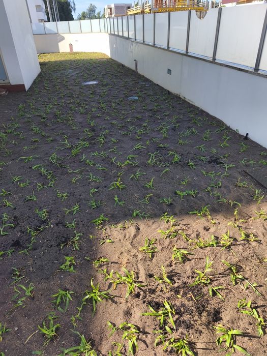 Serviços jardinagem
