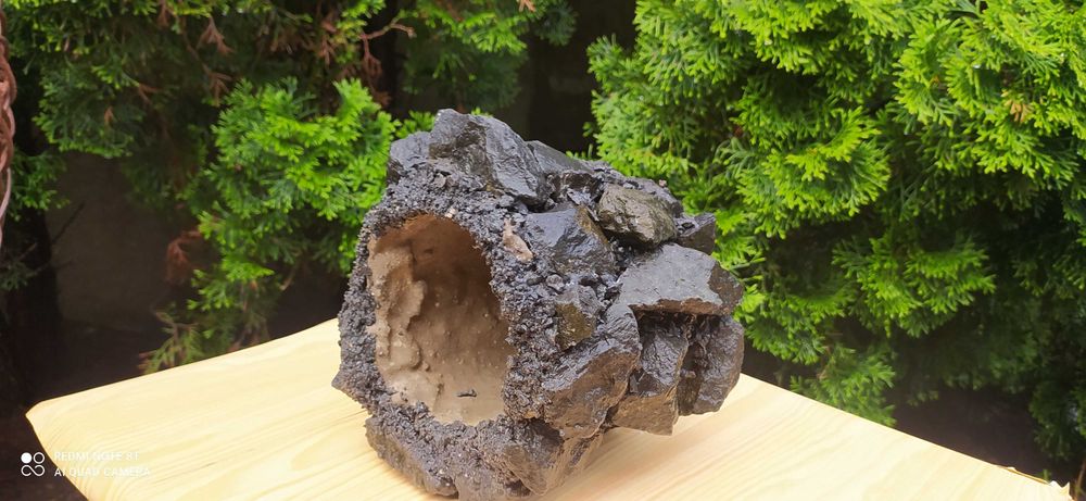 Grota do terrarium